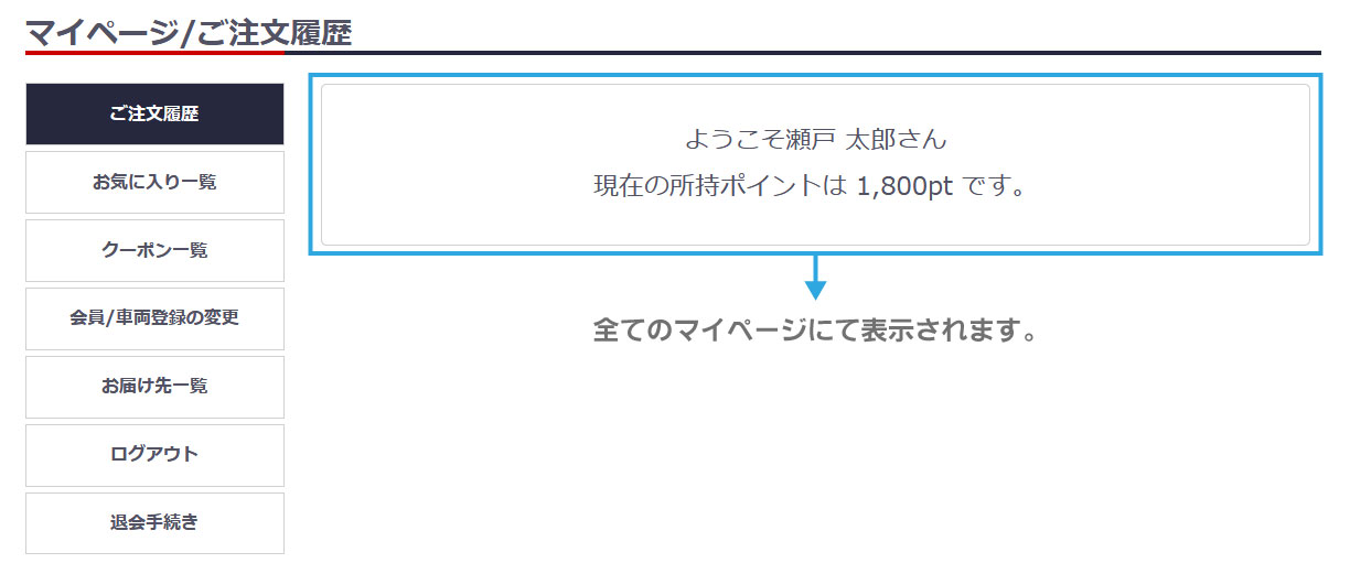 ポイントについて